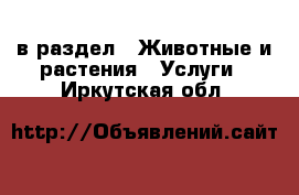  в раздел : Животные и растения » Услуги . Иркутская обл.